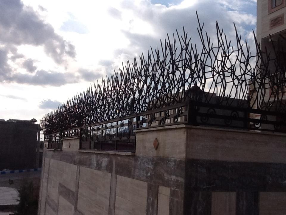 حفاظ شاخ گوزنی